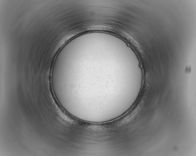 X0000090711033200708101501