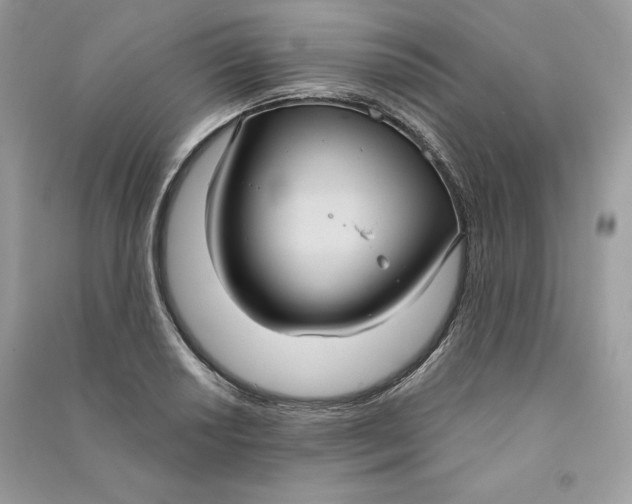 X0000090711034200708101501