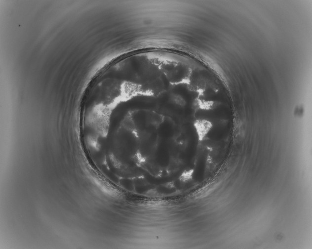 X0000090711035200708101501