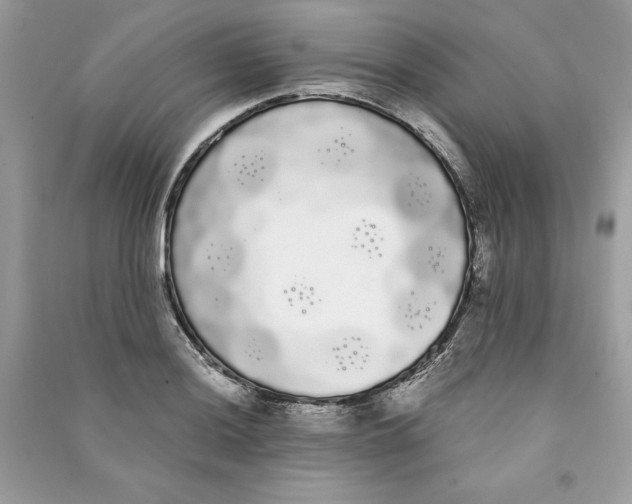 X0000090711036200708101501