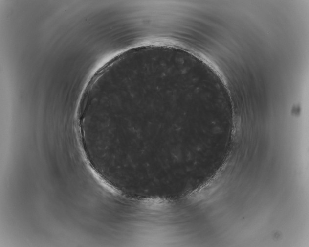 X0000090711037200708101501