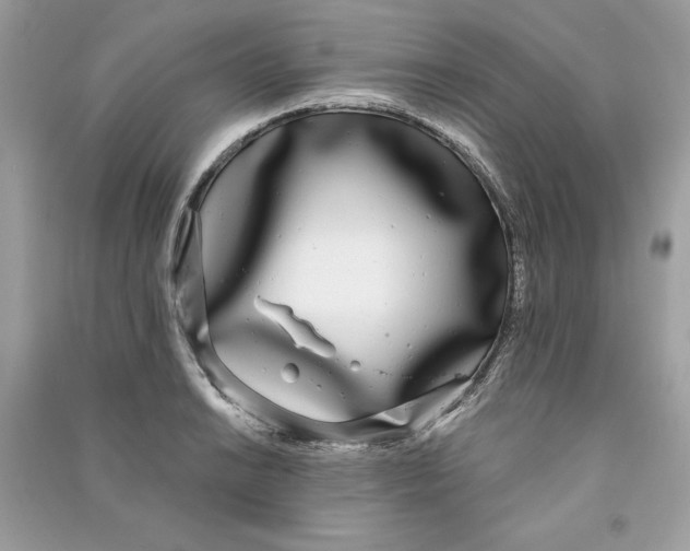 X0000090711038200708101501