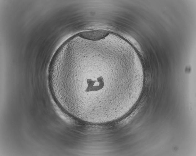 X0000090711039200708101501