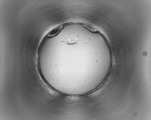 X0000090711040200708101501