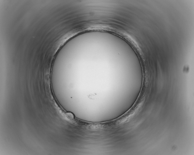 X0000090711041200708101501