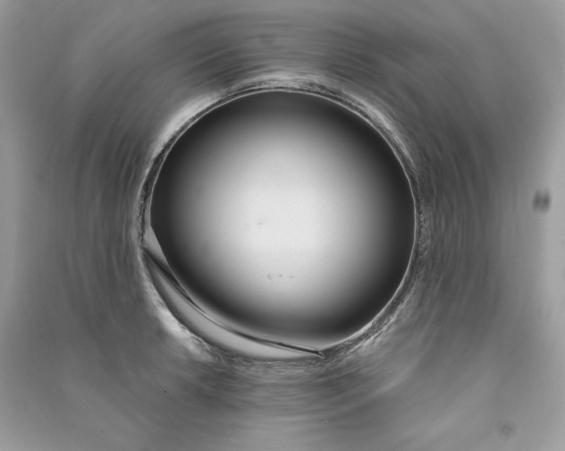 X0000090711042200708101501