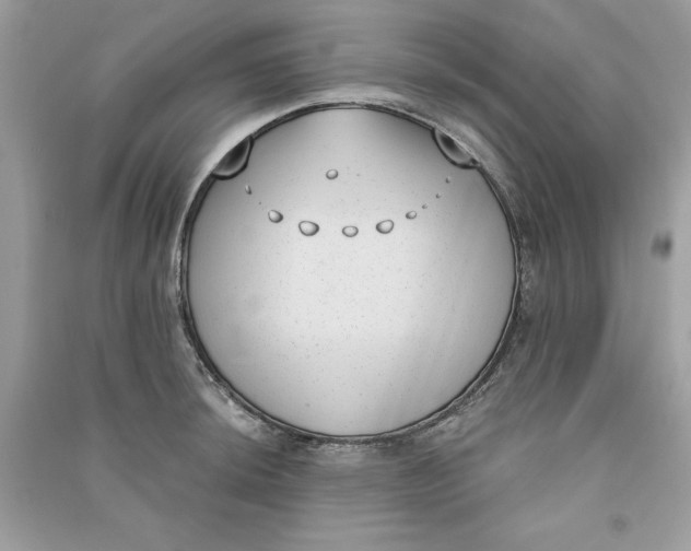 X0000090711044200708101501