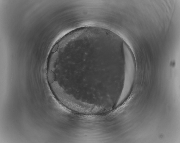 X0000090711045200708101501