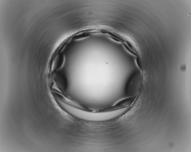 X0000090711046200708101501