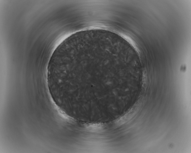 X0000090711047200708101501