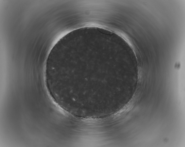 X0000090711048200708101501