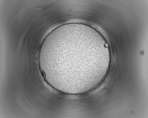 X0000090711049200708101501