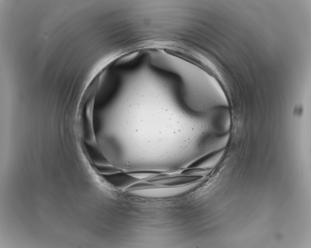 X0000090711050200708101501