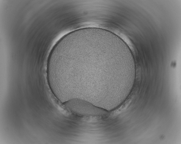 X0000090711051200708101501