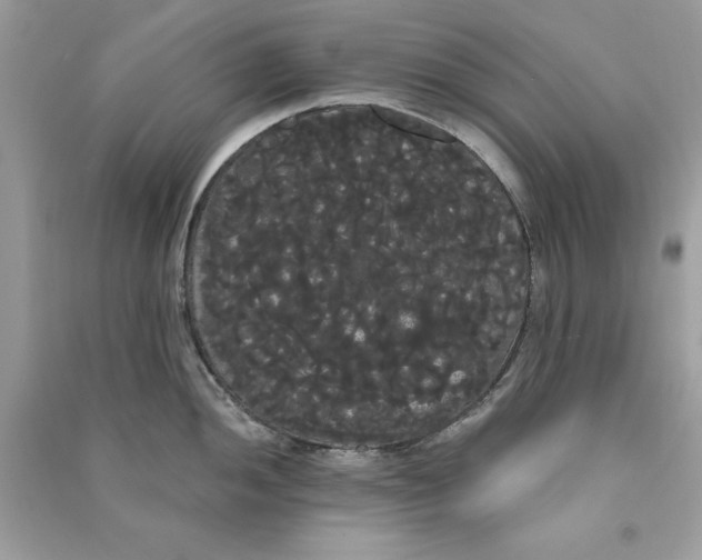 X0000090711052200708101501