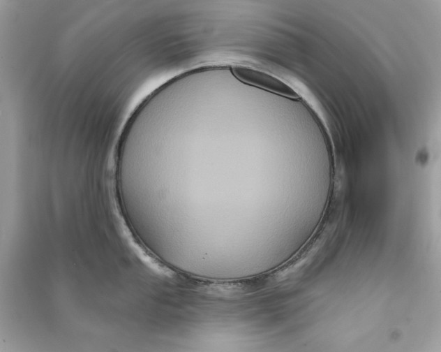 X0000090711053200708101501