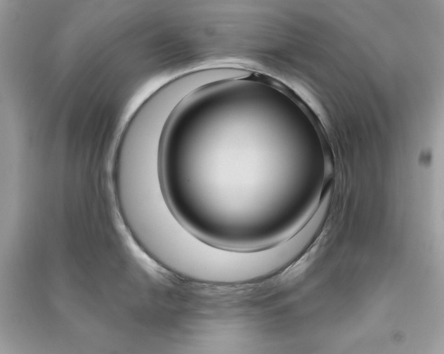 X0000090711054200708101501