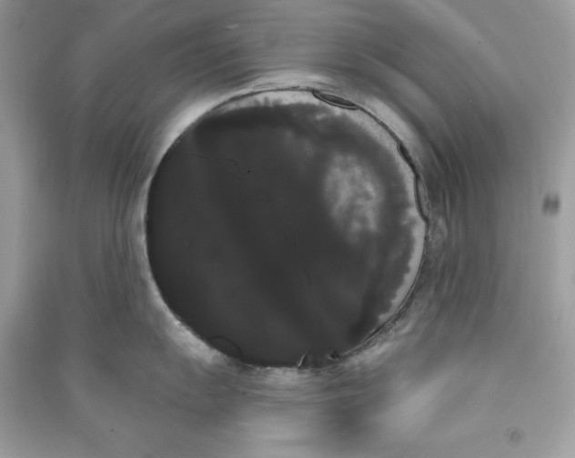 X0000090711055200708101501