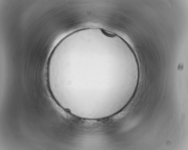 X0000090711056200708101501