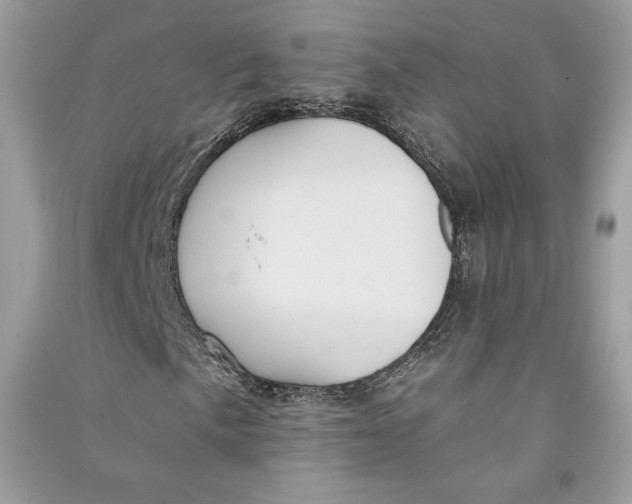 X0000090711057200708101501