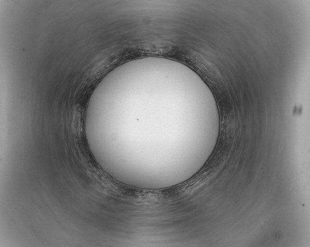 X0000090711058200708101501