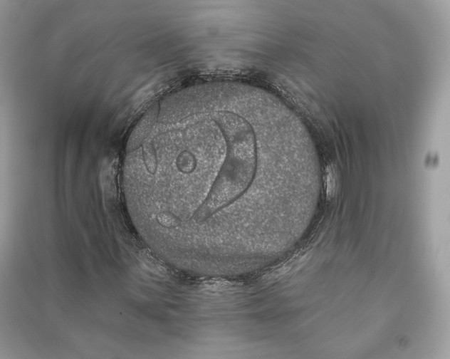 X0000090711059200708101500