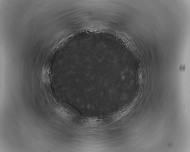 X0000090711060200708101500