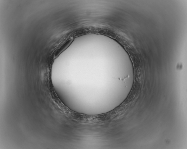 X0000090711061200708101500