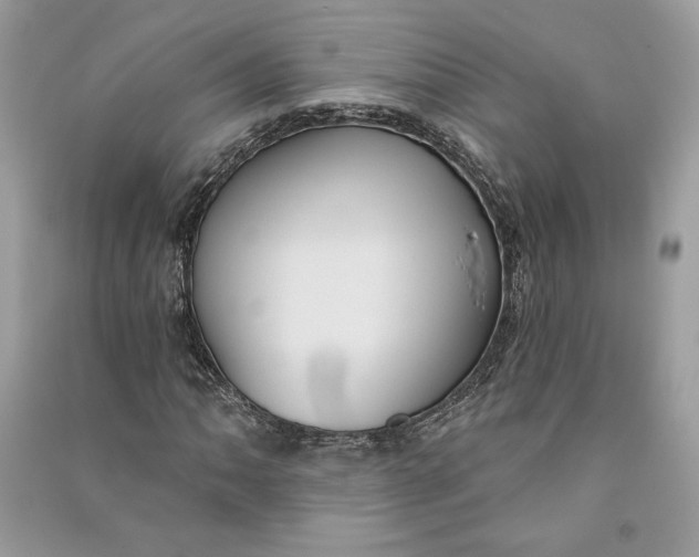 X0000090711062200708101500