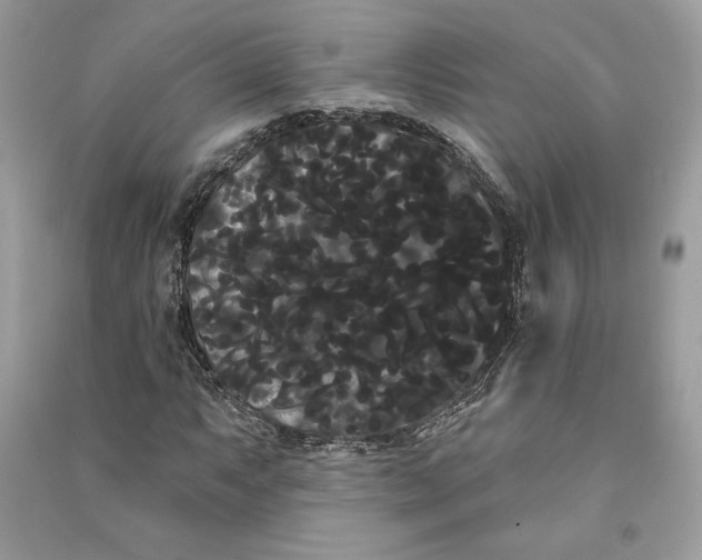 X0000090711063200708101500