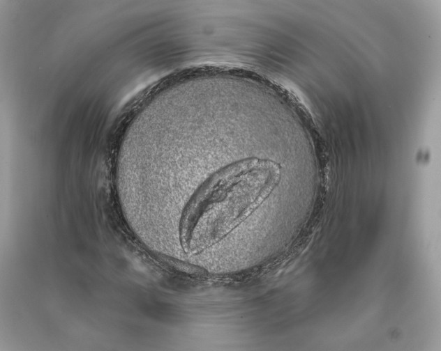 X0000090711064200708101500