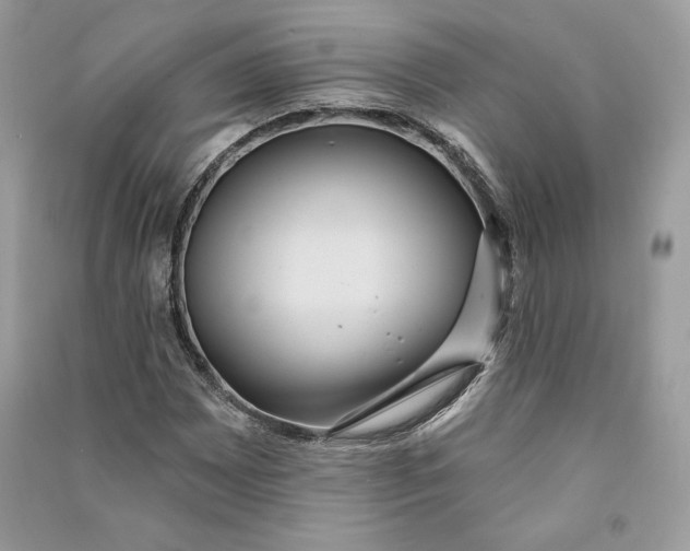 X0000090711065200708101500