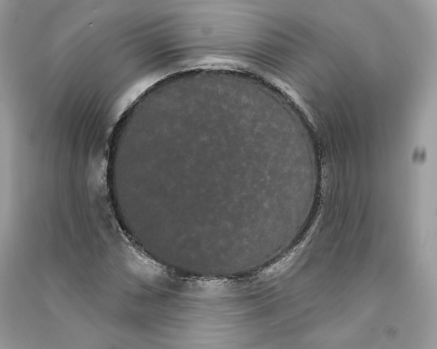 X0000090711066200708101500