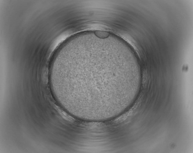 X0000090711067200708101500