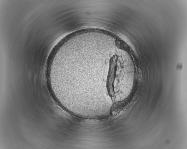 X0000090711068200708101500