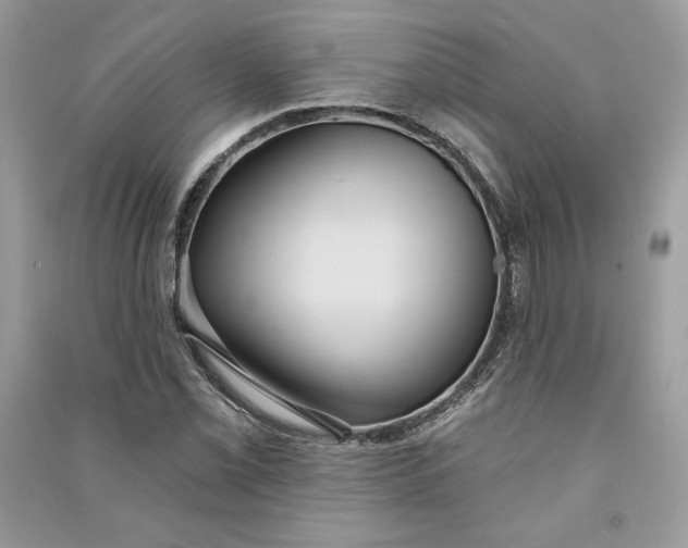 X0000090711069200708101500