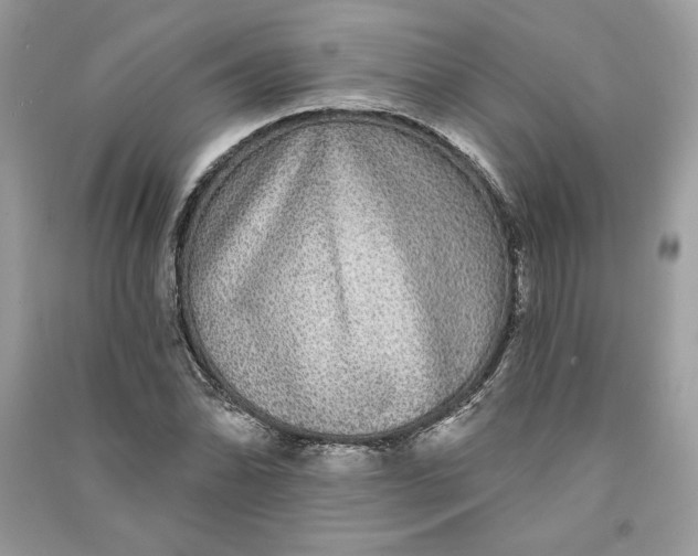 X0000090711070200708101500