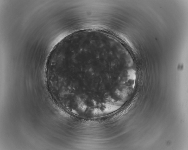 X0000090711071200708101500