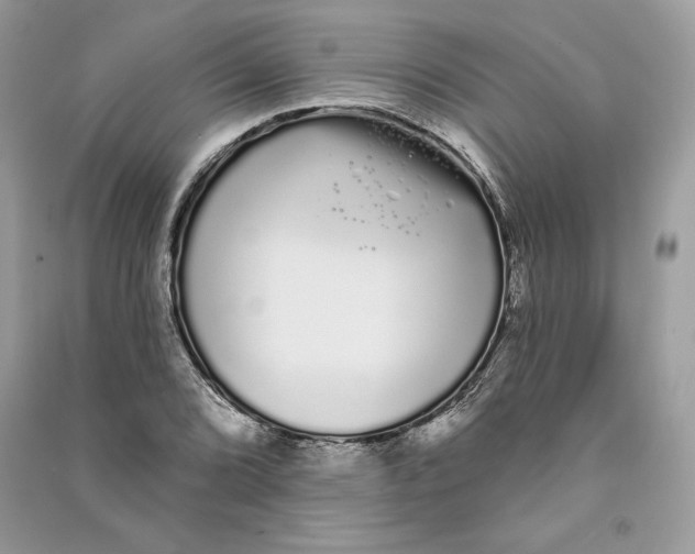 X0000090711072200708101500