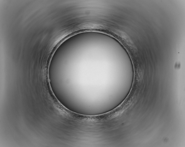 X0000090711073200708101500