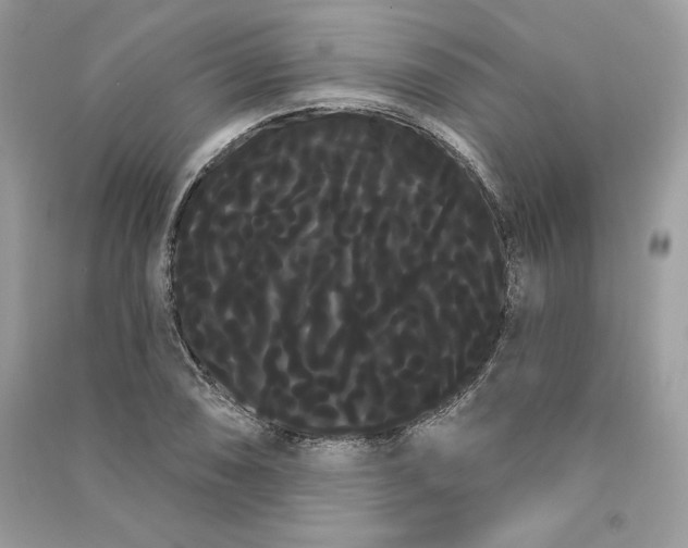 X0000090711074200708101500