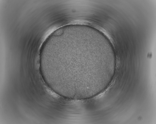 X0000090711075200708101500