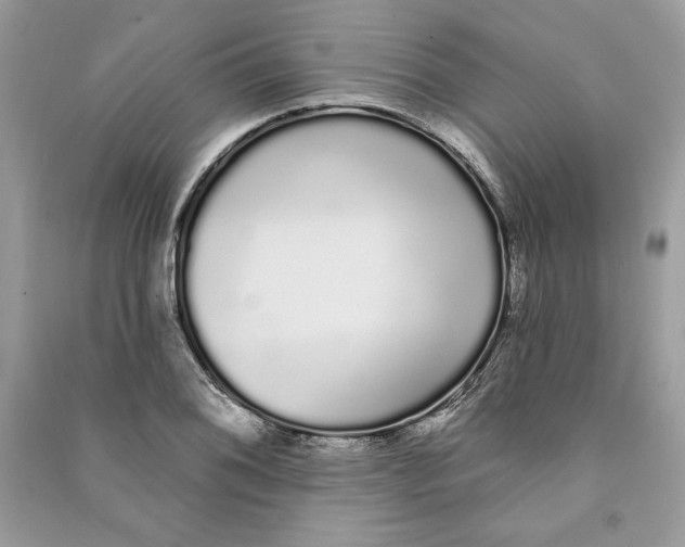 X0000090711076200708101500