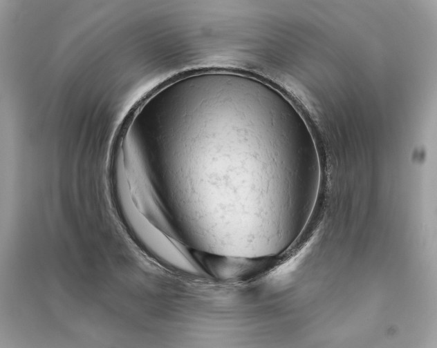 X0000090711077200708101500