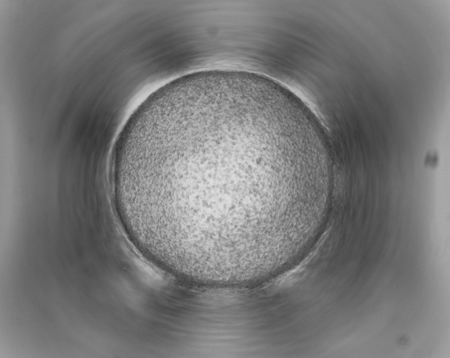 X0000090711078200708101500