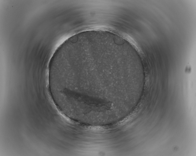 X0000090711079200708101500