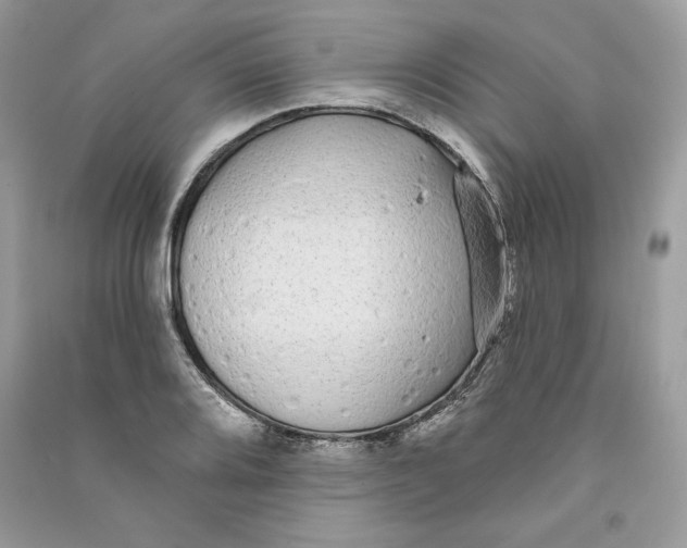 X0000090711080200708101500