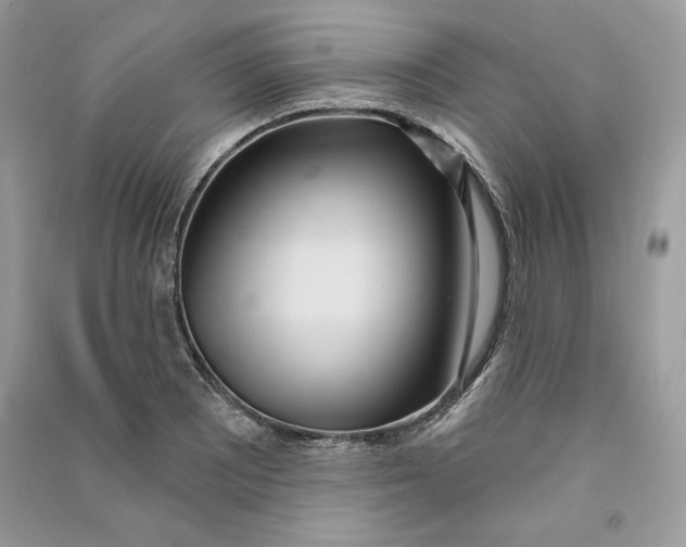 X0000090711081200708101500