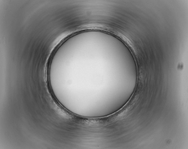 X0000090711082200708101500