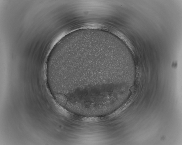 X0000090711083200708101500